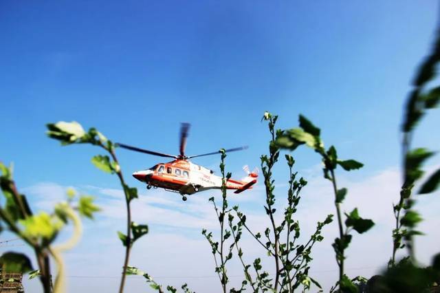 今天,临泉上空直升机来回盘旋,竟是一场紧急救援.