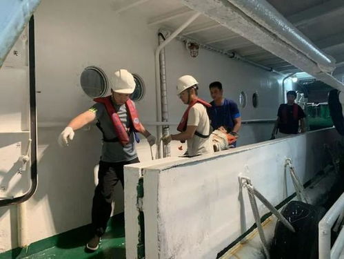 高效联动,洋山港海事局紧急救助突发疾病船员